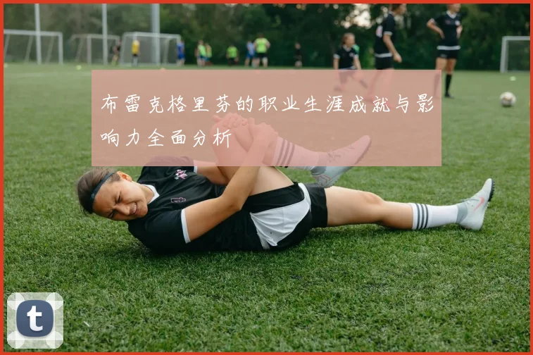 布雷克格里芬的职业生涯成就与影响力全面分析